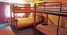 Bunk Room in the Cottage at Aria's Farm